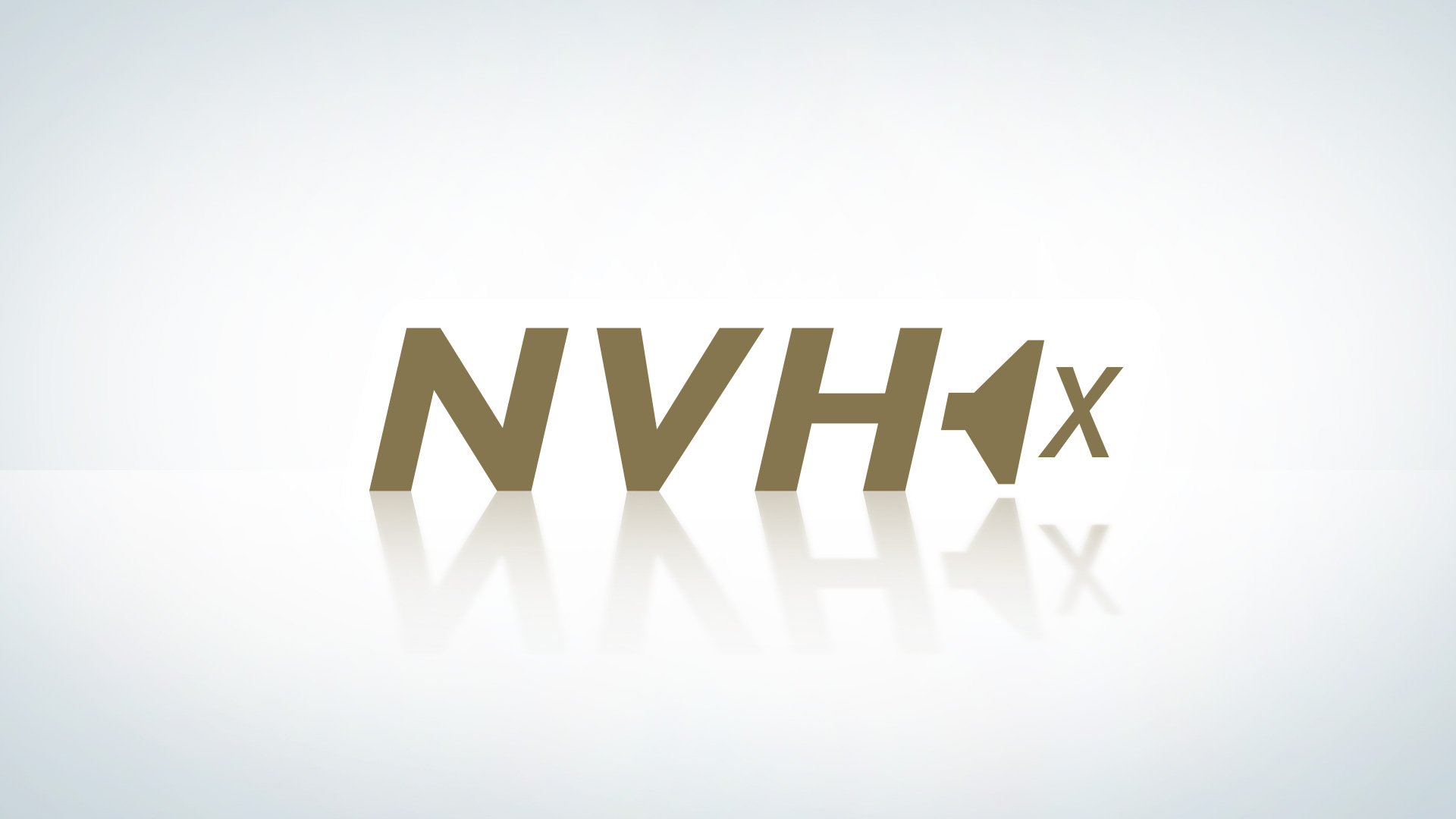 NVH System